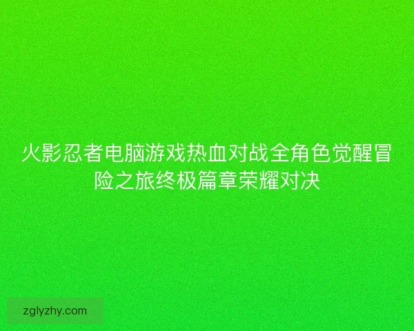 火影忍者电脑游戏热血对战全角色觉醒冒险之旅终极篇章荣耀对决 火影忍者电脑游戏热血对战全角色觉醒冒险之旅终极篇章荣耀对决