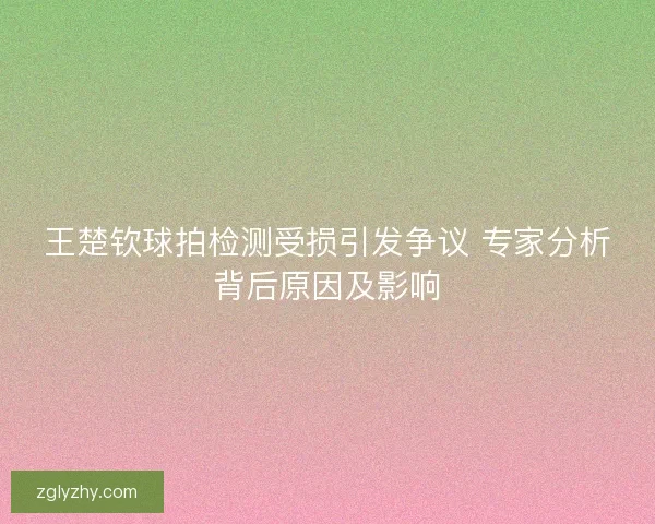 王楚钦球拍检测受损引发争议 专家分析背后原因及影响 王楚钦球拍检测受损引发争议 专家分析背后原因及影响