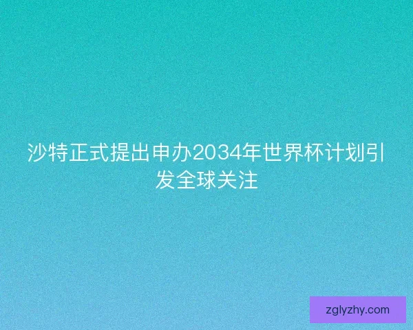 沙特正式提出申办2034年世界杯计划引发全球关注 沙特正式提出申办2034年世界杯计划引发全球关注